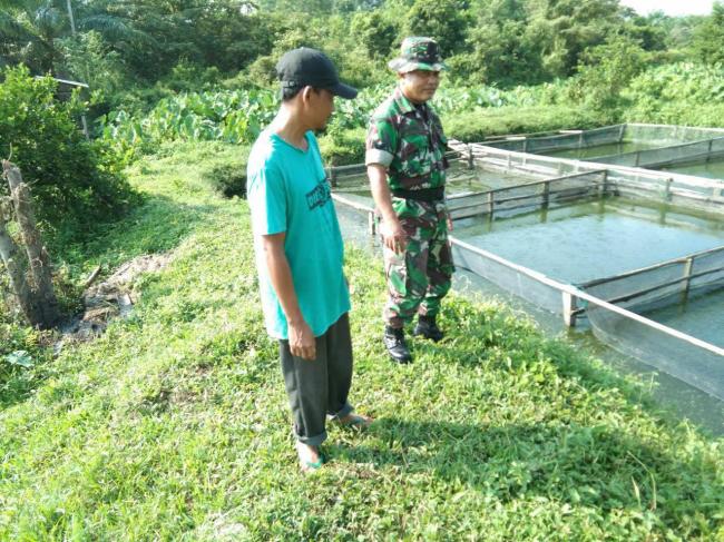 BABINSA JALIN KOMSOS KE WARGA PETERNAK BUDIDAYA LELE DALAM RANGKA TMMD KE 105 KODIM 0313/KPR