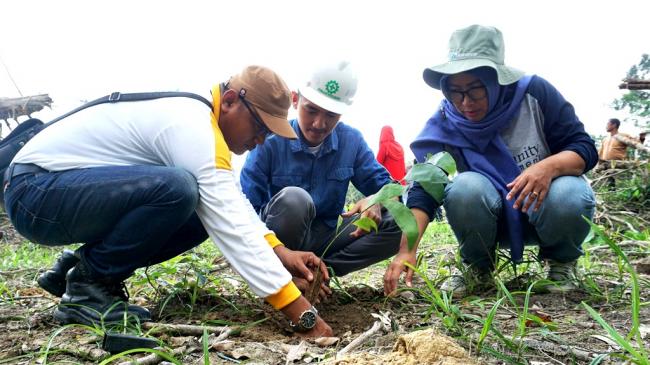 Ribuan Pohon di Tanam Untuk Kesejahteraan Warga