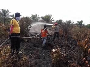 Tni, Polri dan Manggala Agni Terus Berupaya Padamkan Api di Lahan Gambut
