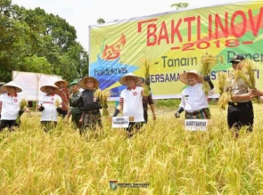 Pemkab Kampar Terus Tingkatkan Perekonomian Melalui Pertanian