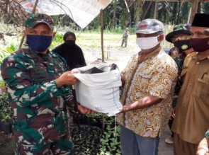 Dukung Program Ketahanan Pangan, Dandim 0313/KPR Lakukan Peninjauan Demplot Han Pangan