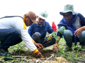 Ribuan Pohon di Tanam Untuk Kesejahteraan Warga
