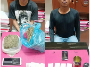 2 Gembong Narkoba Jenis Daun Ganja Kering Diringkus Satresnarkoba Polres Kampar 
