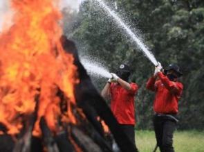 Deteksi Dini Karhutla, RAPP Siagakan Personil, Peralatan, Hingga Bangun Ruang Monitor CCTV