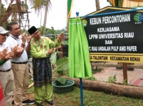 LPPM UNRI DAN PT RAPP RESMIKAN KEBUN PERCONTOHAN PISANG KEPOK