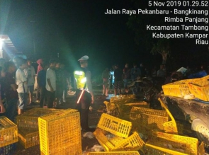 Kecelakaan Maut di KM 21 Rimbo Panjang, 1 Tewas di TKP dan 1 Luka Berat