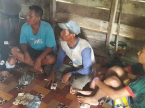 4 Pelaku Judi Qiu-qiu Ditangkap Tim Patroli Polsek Tapung