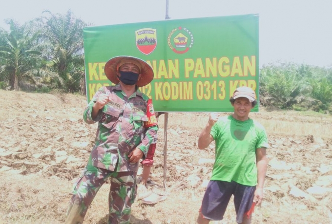 Koramil 02 Rambah Siapkan Lahan Pertanian Antisipasi Krisis Pangan