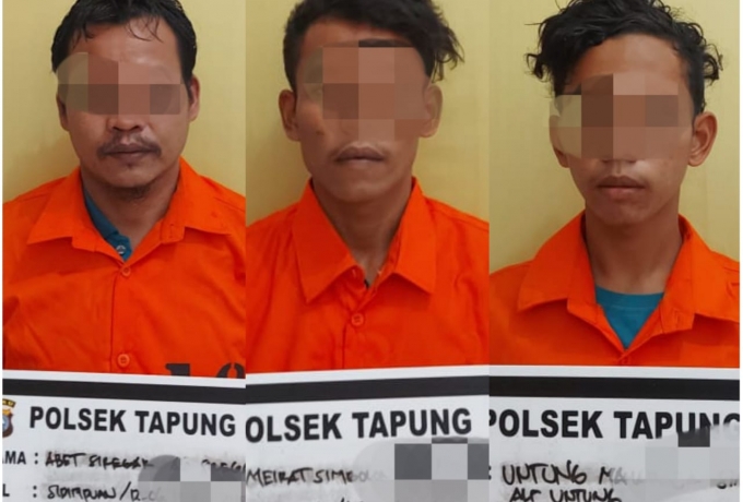 Polsek Tapung Amankan 3 Terduga Pelaku Pencurian TBS Milik PTPN-V Kebun Sei Garo