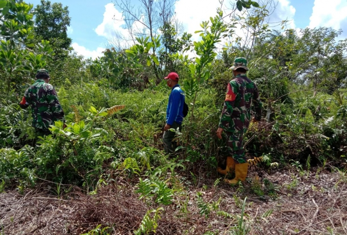 Antisipasi Karhutla, Babinsa Koramil 09/Langgam Rutin Lakukan Patroli dan Sosialisasi Karhutla