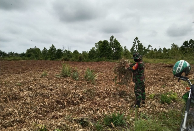 Babinsa Koramil 07/Kampar Kodim 0313/Kpr Terus Aktif Laksanakan Patroli Karlahut
