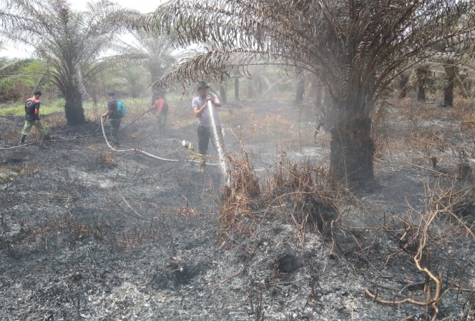 Temukan Kebakaran Lahan Saat Patroli, Bhabinkamtibmas dan MPA Karya Indah Lakukan Pemadaman