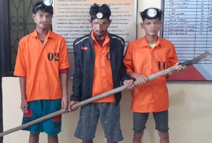 Nyuri 70 Tandan Buah Sawit, 3 Pemuda ini Diamankan Warga Lalu Diserahkan ke Polsek Tapung