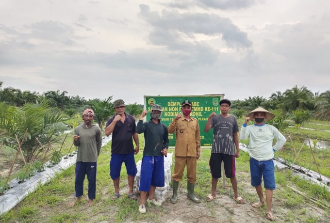 Pak Penghulu apresiasi demplot cabai program TMMD ke-111