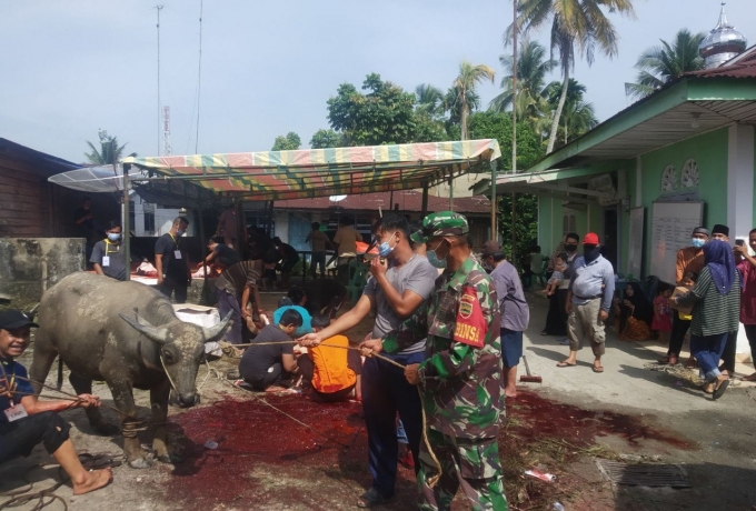 Komsos Babinsa Koramil 16/Tapung Dengan Membantu Warga Memotong Hewan Kurban