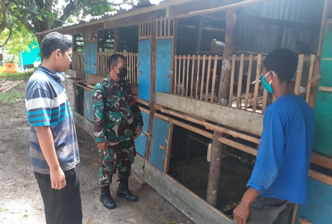 Kunjungi Warga, Babinsa Koramil 05/Kampar Kiri Sosialisasikan Cara Beternak ayam Kampung