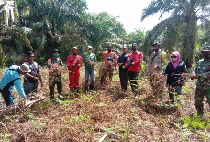 Hari Libur Babinsa Koramil 15/Kuala Kampar Tetap Semangat Laksanakan Patroli Karhutla