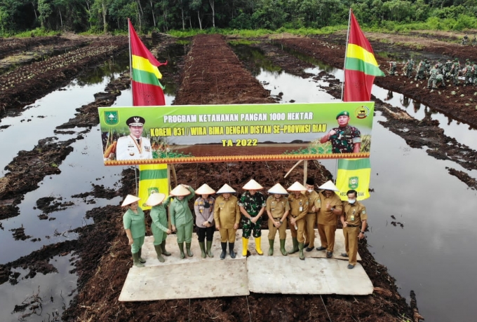 Ikut Lounching Program Ketahanan Pangan, Wabup Husni Merza Tanam Nenas 