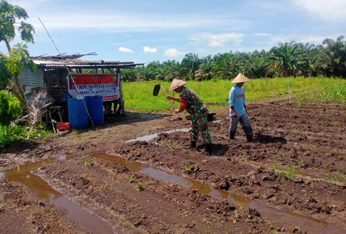 Sukseskan Ketahanan Pangan, Babinsa Dampingi Petani Di Kampung Pancasila