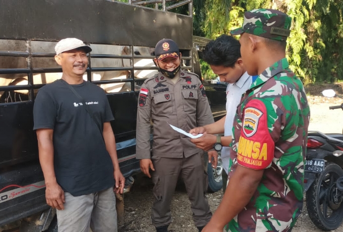Babinsa Turun Ke Lapangan Bantu Penyekatan Sapi dari Luar Daerah Cegah Penyebaran PMK