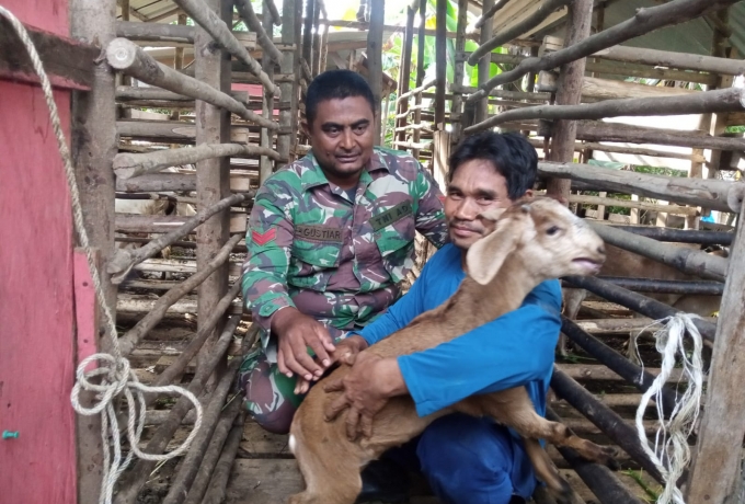 Tak Ingin Warga Rugi, Babinsa Monitoring PMK Terhadap Ternak Kambing Milik Warga