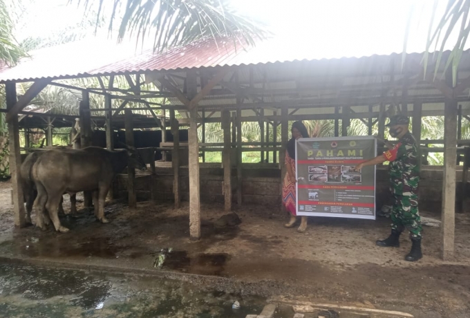 Babinsa Koramil 01/Bkn Sosialisasi Kepada Warga Tentang Penyakit Kuku dan Mulut Pada Hewan Ternak