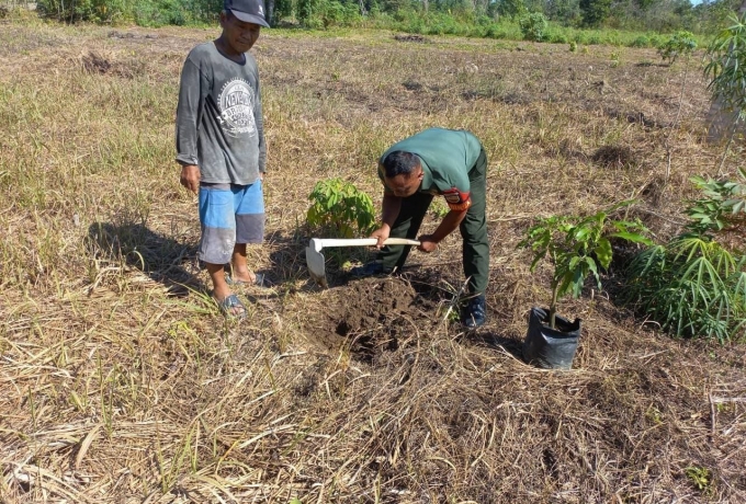 Ciptakan Alam Asri, Babinsa Korami 16/Tapung Bersama Warga Tanam Pohon Penghijauan