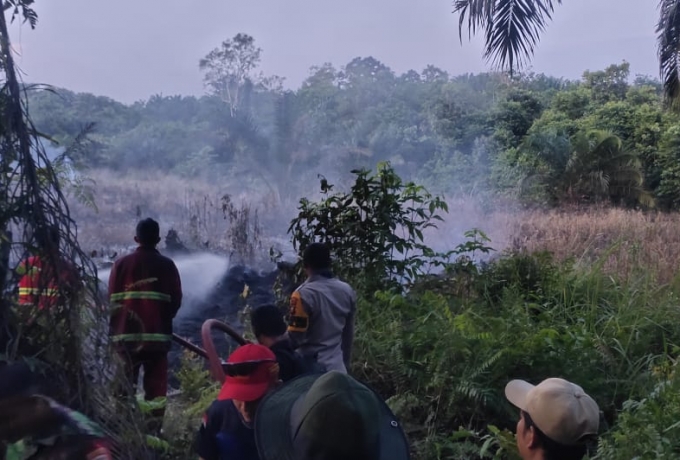 Gerak Cepat, Petugas Gabungan Padamkan Kebakaran Lahan Semak Belukar di Kampar