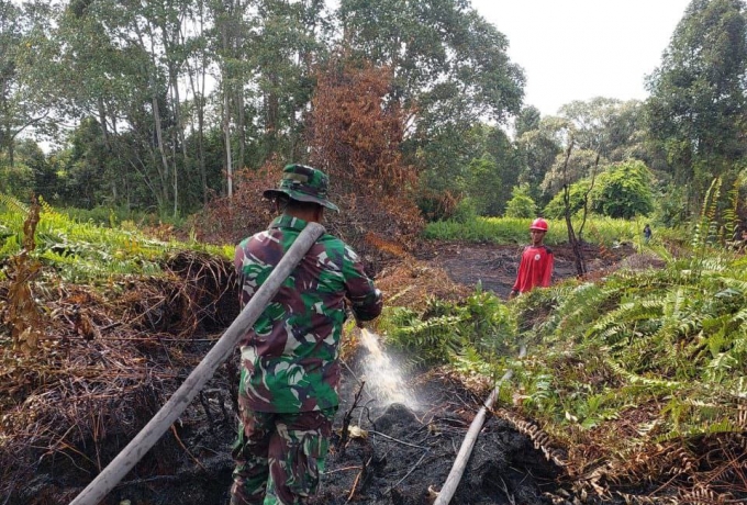 Kebakaran Hutan Gambut di Kabupaten Rokan Hulu Riau, Petugas Gabungan masih Melakukan Pendinginan 