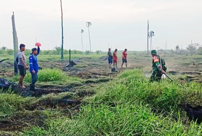 Penampakan Karhutla di Rawa Betung Kabupaten Rokan Hulu Riau, Petugas Gabungan Padamkan Api