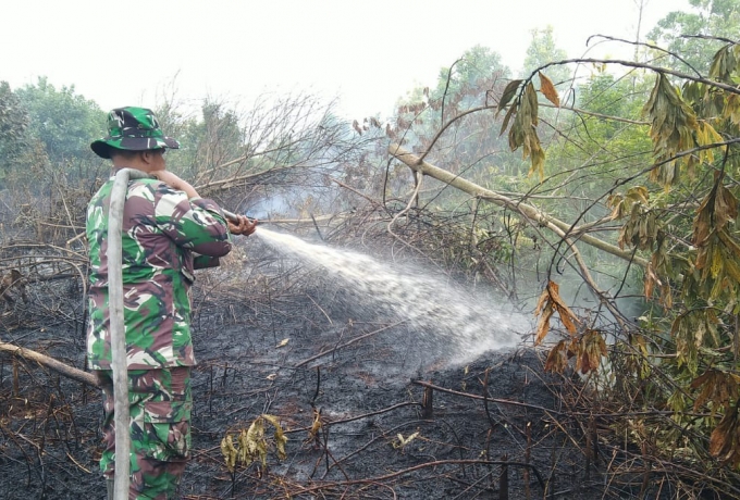 Kebakaran Lahan, Babinsa Koramil 07/Kampar Lakukan Pemadaman Api