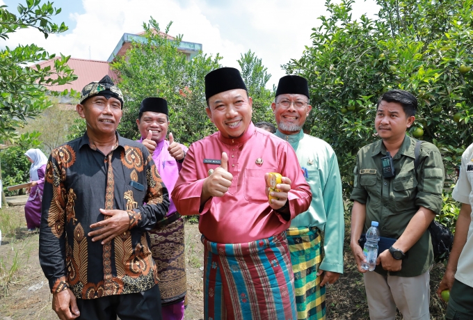 Wabup Husni, Kerja Keras Pak Sobihin Jadi Motivasi Tanam Jeruk Menjajikan