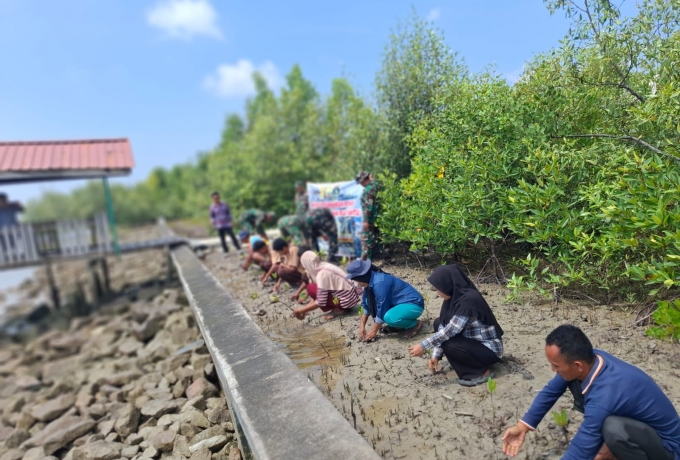 Rayakan HUT Dharma Pratiwi ke 62, Kodim 0313/KPR Gelar Pembersihan Pesisir dan Penanaman Mangrove