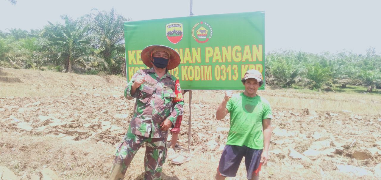 Koramil 02 Rambah Siapkan Lahan Pertanian Antisipasi Krisis Pangan