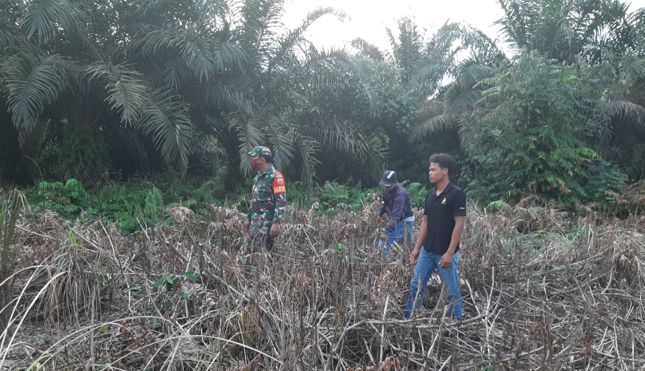 Babinsa Koramil 10/Kunto Darussalam Lakukan Patroli Karlahut