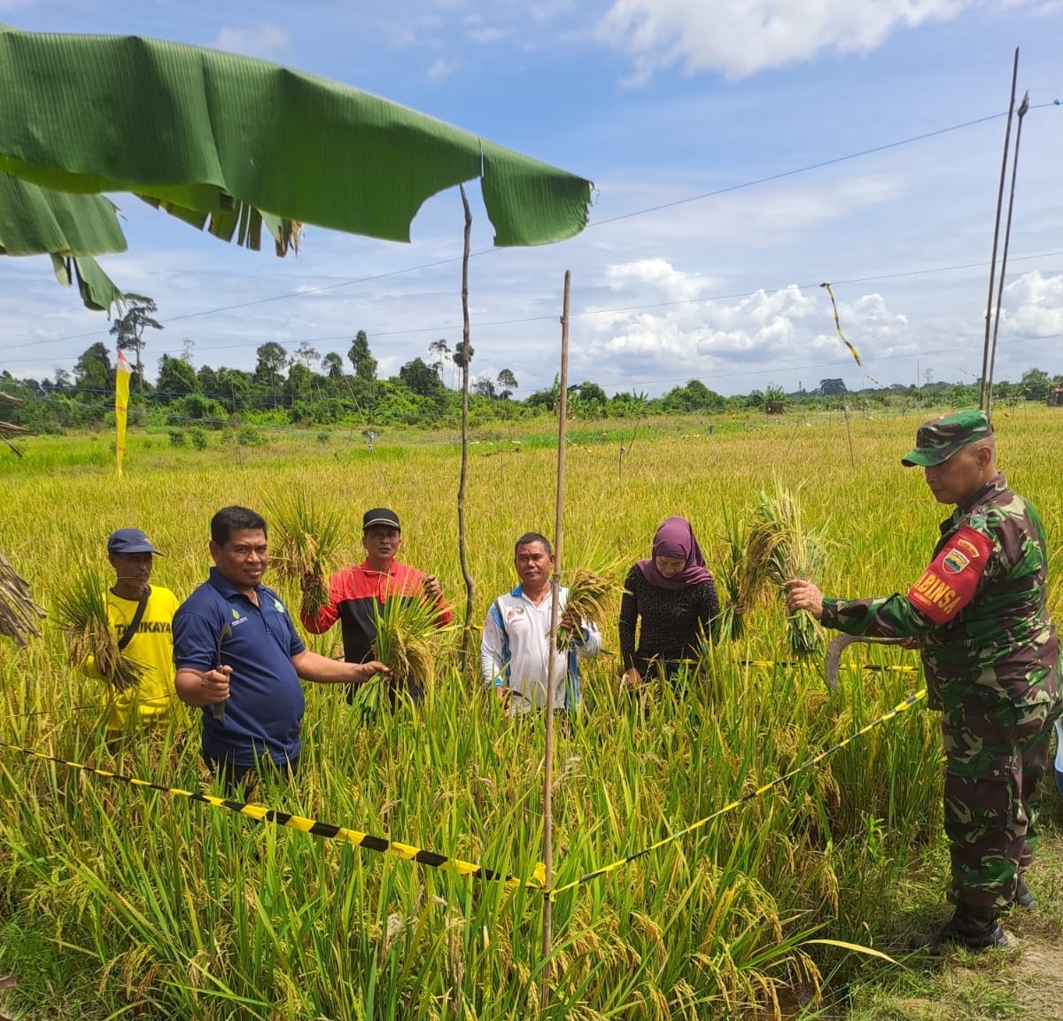 Selalu Motivasi Giat Petani Diwilayah Binaannya Babinsa Koramil 03/Bunut Dukung Hanpangan