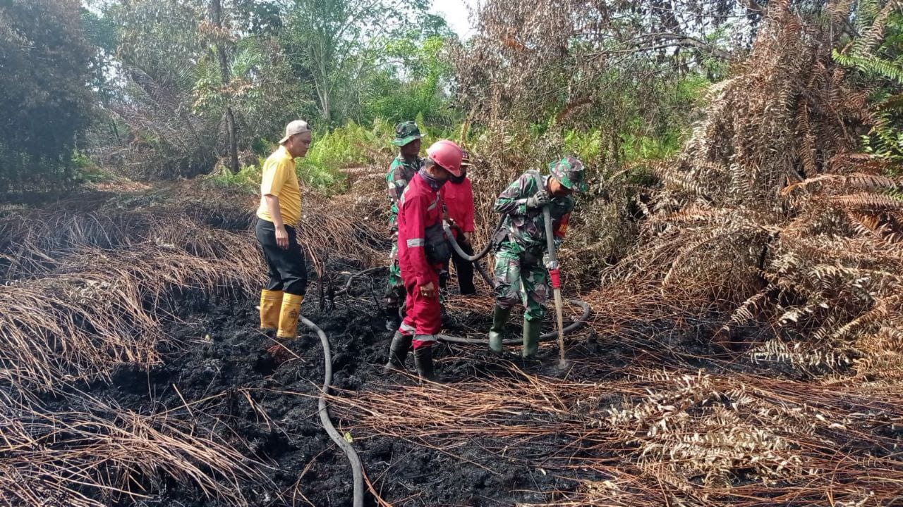 Bersama Tim Gabungan, Anggota Koramil 16/Tapung Berjibagu Padamkan Kebakaran Lahan