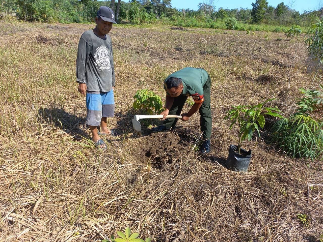 Ciptakan Alam Asri, Babinsa Korami 16/Tapung Bersama Warga Tanam Pohon Penghijauan