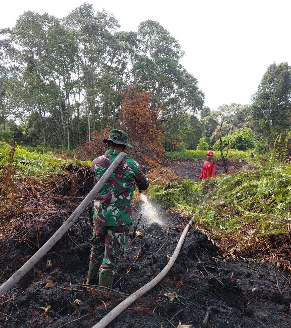 Kebakaran Hutan Gambut di Kabupaten Rokan Hulu Riau, Petugas Gabungan masih Melakukan Pendinginan 