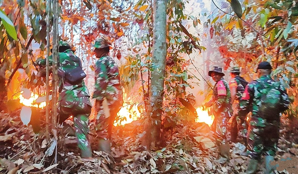 Hutan Diperbukitan Terbakar, Petugas dari Kodim 0313/KPR Melakukan Pemadaman