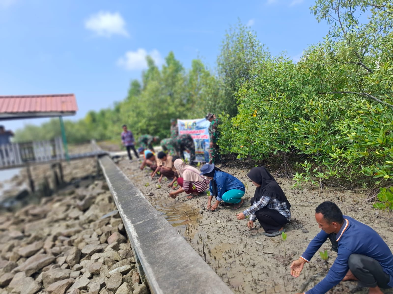 Rayakan HUT Dharma Pratiwi ke 62, Kodim 0313/KPR Gelar Pembersihan Pesisir dan Penanaman Mangrove